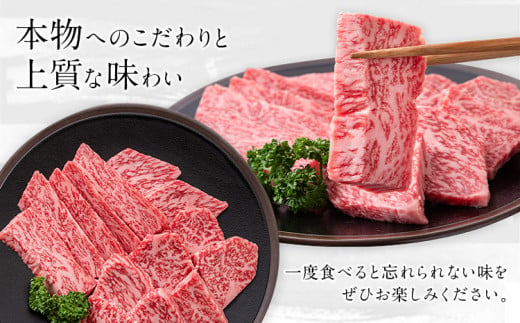 ふるの牛（黒毛和牛）特選焼肉用 500g (ロース250g、カルビ250g) A5 ミシュラン掲載《30日以内に出荷予定(土日祝除く)》