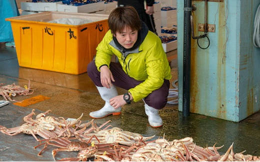 茹で越前ガニ【年末お届け】食通もうなる本場の味をぜひ、ご堪能ください。約900g 2尾セット 越前がに 越前かに 越前カニ カニ ボイルガニ [№5580-0604]