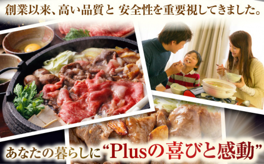 【全12回定期便】【A4～A5】長崎和牛切り落とし　1.2kg(600g×2p）【株式会社 MEAT PLUS】 [QBS053]