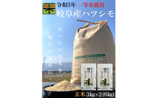 岐阜県養老町産　令和5年産　岐阜ハツシモSL　玄米　3kg×2【1498740】