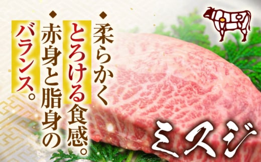 【全6回定期便】【厳選希少部位】【A4～A5】長崎和牛ミスジステーキ　約500g（100g×5p）【株式会社 MEAT PLUS】 [QBS121]