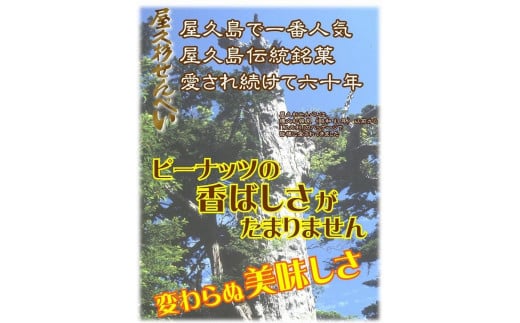 屋久杉せんべい 36枚入り