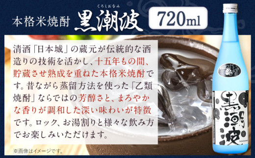 本格米焼酎 黒潮波 （くろしおなみ） 720ml×2本 厳選館《90日以内に出荷予定(土日祝除く)》 和歌山県 日高町 酒 本格米焼酎 焼酎 米焼酎