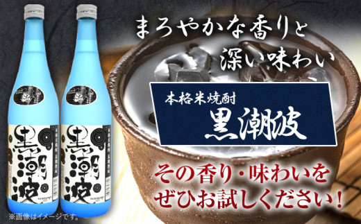 本格米焼酎 黒潮波 （くろしおなみ） 720ml×2本 厳選館《90日以内に出荷予定(土日祝除く)》 和歌山県 日高町 酒 本格米焼酎 焼酎 米焼酎