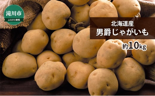 北海道産 男爵じゃがいも 約10kg＜2024年9月下旬～順次出荷＞｜北海道 滝川市 男爵 じゃがいも 野菜 2024年発送 令和6年発送 やさい ジャガイモ