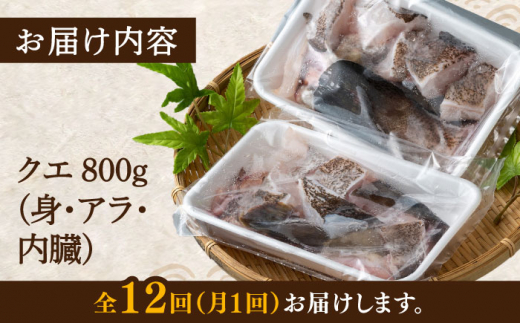 【全12回定期便】幻の魚 クエ 鍋 セット 800g 《対馬市》【海風商事】九州 長崎 対馬 ちり鍋 アラ [WAD034]くえ 高級魚 魚 クエ 希少 人気 ランキング 冷凍 対馬 長崎 九州 つしま 対馬市 海鮮 魚介 刺身 刺し身 鍋 クエ鍋 毎月届く 定期便