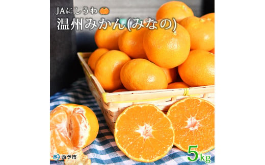 JAにしうわ　温州みかん「みなの」５kg