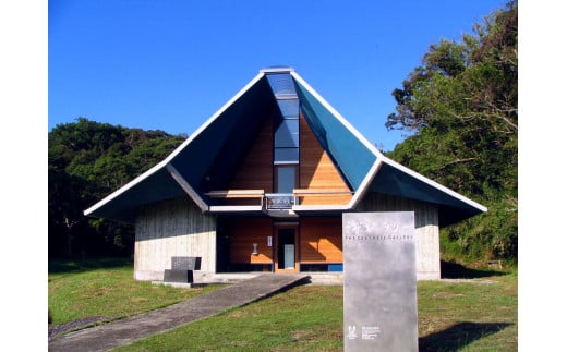 水族館・資料館・展示館　ぐるっと竜串　お得な3館入場券セット（大人１名用）高知県土佐清水市 観光チケット 旅行券 トラベル【R00107】