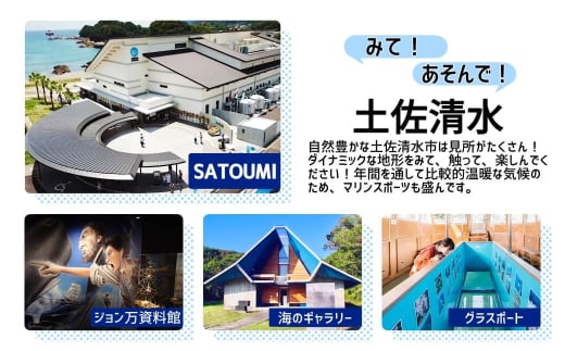 水族館・資料館・展示館　ぐるっと竜串　お得な3館入場券セット（大人１名用）高知県土佐清水市 観光チケット 旅行券 トラベル【R00107】