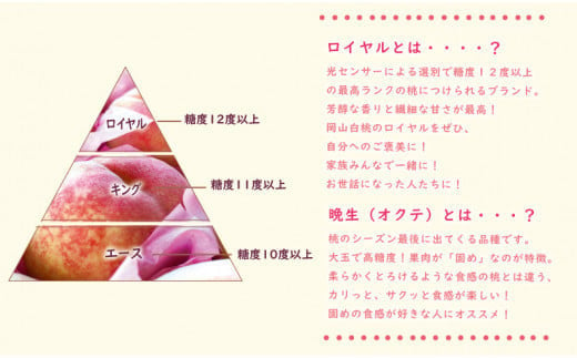 【2025年発送分 先行受付スタート！】岡山県産 白桃（晩生種） 最高ランク！ロイヤル約4kg 8～15玉（令和７年8月以降発送）