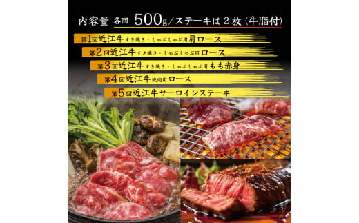 【定期便】 近江牛 食べ比べ 各500g 全5回 ( すき焼き しゃぶしゃぶ ステーキ 近江牛 ブランド牛 近江牛 牛肉 近江牛 近江牛 贈り物 ギフト 近江牛 国産 近江牛 滋賀県 近江牛 竜王町 近江牛 近江牛 霜降り 神戸牛 松阪牛 に並ぶ 日本三大和牛 ふるさと納税 )