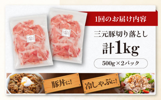  肉 豚肉 生姜焼き 小分け 冷凍 冷凍配送 定期便 132000 