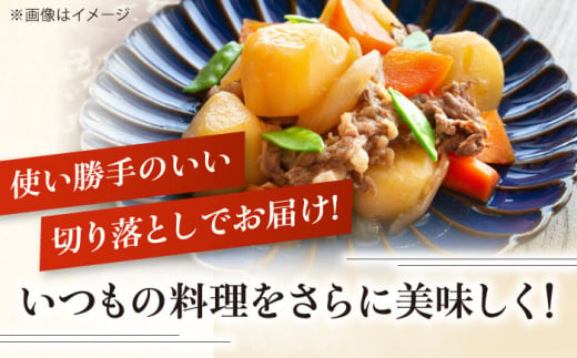  肉 豚肉 生姜焼き 小分け 冷凍 冷凍配送 定期便 132000 