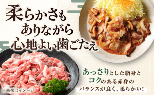  肉 豚肉 生姜焼き 小分け 冷凍 冷凍配送 定期便 132000 