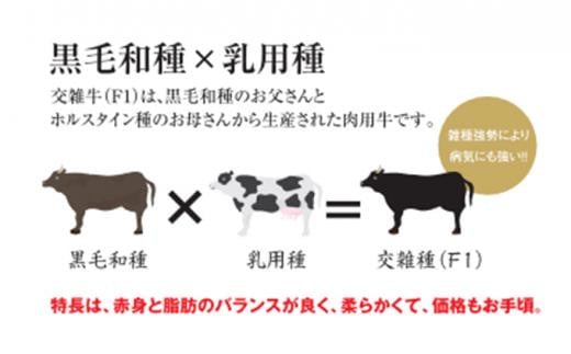 清麻呂 牛 ロース ステーキ肉 約540g（約180g×3枚）岡山市場発F1 牛肉