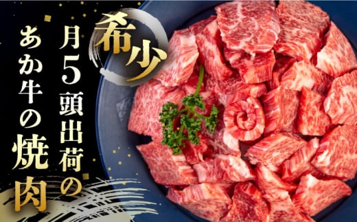 長崎和牛 あか牛 焼肉用 1kg (500g×2)《対馬市》【株式会社Tsukushi】 対馬 牛 和牛 焼肉 冷凍配送 [WCR004]