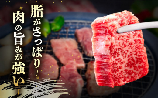 長崎和牛 あか牛 焼肉用 1kg (500g×2)《対馬市》【株式会社Tsukushi】 対馬 牛 和牛 焼肉 冷凍配送 [WCR004]