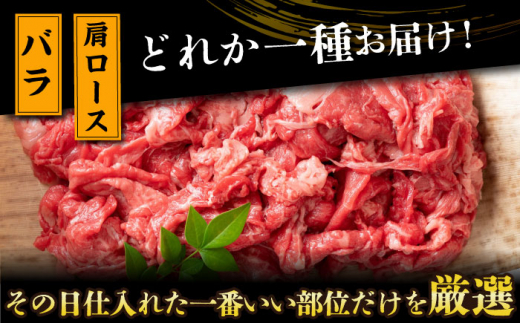 【全2回定期便】【訳あり】【A4～A5】長崎和牛焼肉切り落とし(肩ロース・バラ）　1kg（500g×2p）【株式会社 MEAT PLUS】 [DBS045]