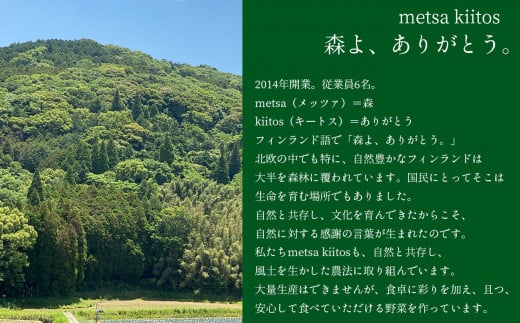 ベビーリーフ 5袋  ＆ とうもろこし 5本 セット   | metsa kiitos 熊本県 熊本 くまもと 和水町 なごみまち なごみ ベビーリーフ とうもろこし 季節限定 冷蔵 クール便