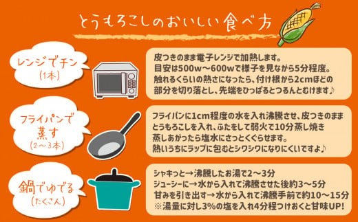 ベビーリーフ 5袋  ＆ とうもろこし 5本 セット   | metsa kiitos 熊本県 熊本 くまもと 和水町 なごみまち なごみ ベビーリーフ とうもろこし 季節限定 冷蔵 クール便