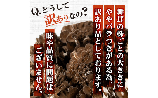 ＜訳あり＞ 舞ちゃん城 舞茸 石づき無し 4パック (2kg以上) ta190【舞ちゃん城】