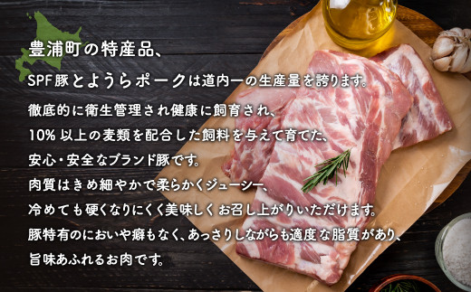 とようらポーク2.4kg ひき肉 小分け 北海道豊浦産 SPF豚 【 ふるさと納税 人気 おすすめ ランキング 肉 豚肉 豚ひき肉 豚しゃぶしゃぶ 豚ロース 豚ステーキ 豚バラ とんかつ 大容量 おいしい 美味しい 北海道 豊浦町 送料無料 】 TYUG020