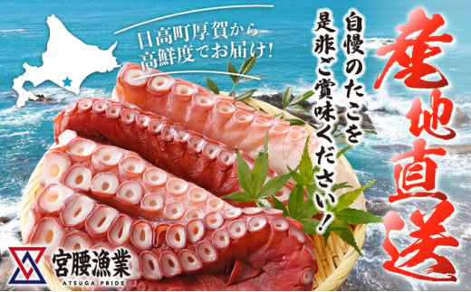 【訳あり】ハーフボイルタコ 2kg 【北海道産】