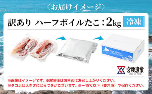 【訳あり】ハーフボイルタコ 2kg 【北海道産】