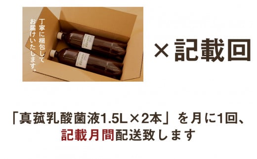 【定期便】真菰（まこも）乳酸菌液　1.5L×2本　12ヶ月定期便 ／ マコモ 無農薬栽培 山梨県