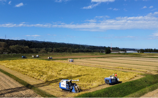 令和6年産 定期便 魚沼産 コシヒカリ 特別栽培米【栽培期間中化学肥料不使用、農薬8割減】　精米2kg×3回