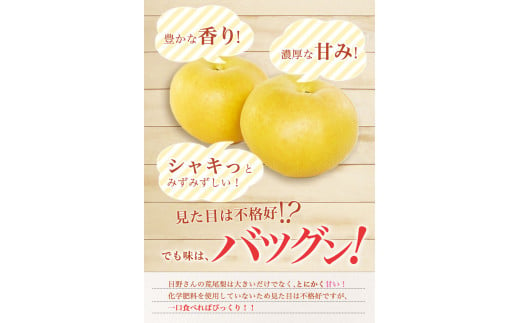 先行予約 荒尾市 目野果実直売所 の 荒尾 梨 新高 梨 和梨 約7.5kg (6～14玉)  《9月下旬-10月末頃出荷》なし フルーツ 果物 新鮮 【日付指定不可】