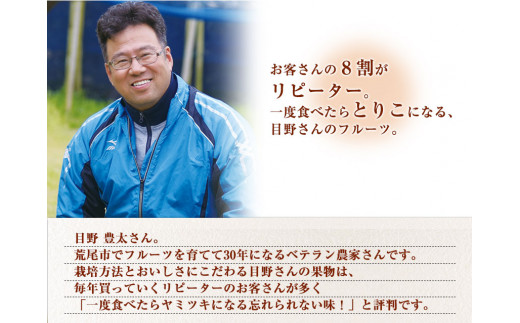 先行予約 荒尾市 目野果実直売所 の 荒尾 梨 新高 梨 和梨 約7.5kg (6～14玉)  《9月下旬-10月末頃出荷》なし フルーツ 果物 新鮮 【日付指定不可】