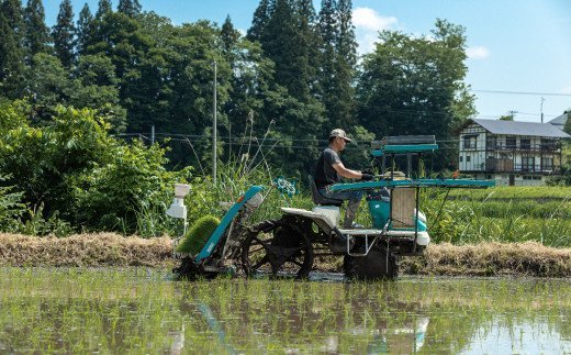 ＜定期便9ヶ月＞ 令和6年産米 米 西会津産米「コシヒカリ」無洗米 5kg 米 お米 おこめ ご飯 ごはん 福島県 西会津町 F4D-1153