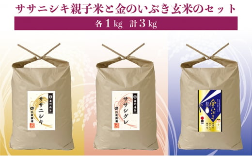 ササニシキ親子米と金のいぶき玄米のセット | お米 精米 白米 ご飯 食べ比べ 栽培期間中 化学肥料 農薬 不使用 希少 主食 おにぎり お弁当 炭水化物 ※2024年10月中旬頃より順次発送予定