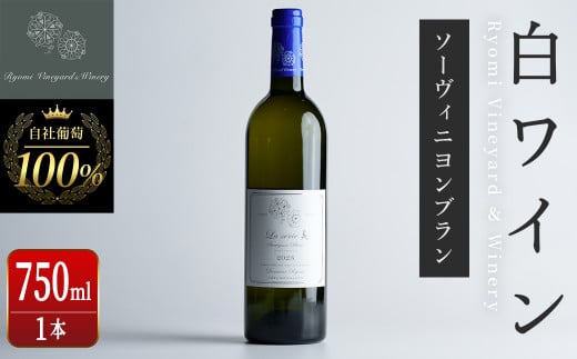 自社葡萄を使用した白ワイン ソーヴィニヨンブラン 750ml×1本 ラセリー美 ドライ ぶどう ブドウ アルコール ギフト 宮城県産 みらいファームやまと 【了美ワイナリー】ta469