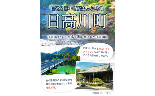 日高川町内の観光施設で利用できる「利用券」9,000円(500円券×18枚)　株式会社フラット・フィールド・オペレーションズ 日高川町事業所 (きのくに中津荘)《30日以内に出荷予定(土日祝除く)》 和歌山県 日高川町 観光施設 利用券