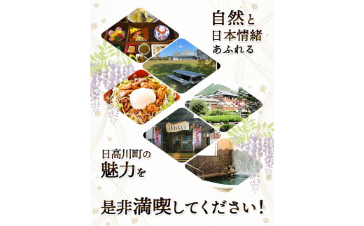 日高川町内の観光施設で利用できる「利用券」9,000円(500円券×18枚)　株式会社フラット・フィールド・オペレーションズ 日高川町事業所 (きのくに中津荘)《30日以内に出荷予定(土日祝除く)》 和歌山県 日高川町 観光施設 利用券