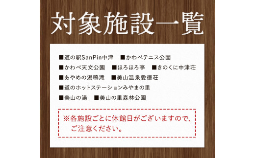 日高川町内の観光施設で利用できる「利用券」9,000円(500円券×18枚)　株式会社フラット・フィールド・オペレーションズ 日高川町事業所 (きのくに中津荘)《30日以内に出荷予定(土日祝除く)》 和歌山県 日高川町 観光施設 利用券