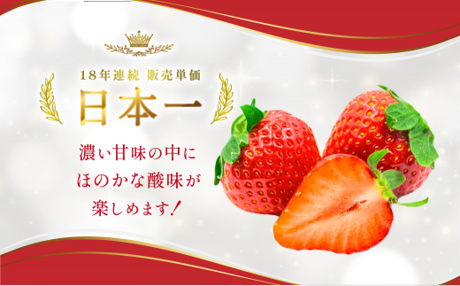 【先行予約】 福岡県産 あまおう 約280g×2パック 約560g 冷蔵 小分け いちご 苺 イチゴ フルーツ 果物 スイーツ くだもの 冬 春 旬 福岡 九州 福岡県 川崎町 数量限定 期間限定 【1月上旬より順次出荷】 