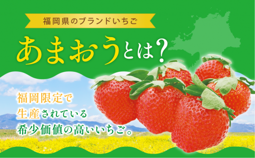 【先行予約】 福岡県産 あまおう 約280g×2パック 約560g 冷蔵 小分け いちご 苺 イチゴ フルーツ 果物 スイーツ くだもの 冬 春 旬 福岡 九州 福岡県 川崎町 数量限定 期間限定 【1月上旬より順次出荷】 