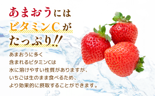 【先行予約】 福岡県産 あまおう 約280g×2パック 約560g 冷蔵 小分け いちご 苺 イチゴ フルーツ 果物 スイーツ くだもの 冬 春 旬 福岡 九州 福岡県 川崎町 数量限定 期間限定 【1月上旬より順次出荷】 