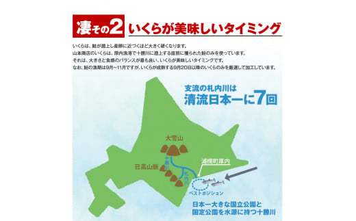  【新物★先行予約】 いくら 70g×2パック 漬けダレなしの粒立ついくら 【2024年11月頃より順次出荷】 国産 便利小分け 簡単いくら丼 山本商店【北海道十勝浦幌町厚内産】