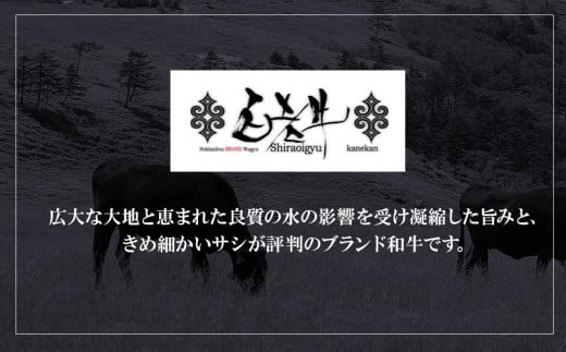 定期便6カ月 お楽しみ 白老牛 ジューシー ハンバーグ セット 10個 網脂 特製ソース 手造り 手ごね