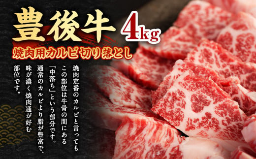 【大分県産】 豊後牛 焼肉用 カルビ 切り落とし 約4kg (約500g×8パック) 