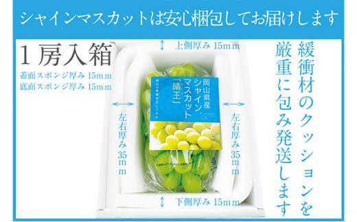 ぶどう 2025年 先行予約 シャイン マスカット 晴王 1房 約670g | 晴れの国 おかやま 岡山県産 フルーツ王国 果物王国
