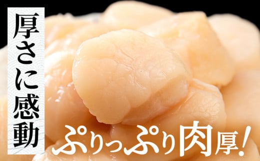 北海道産 ホタテ貝柱 800g (400g×2パック) ＜小田切水産＞ ほたて貝柱 帆立 玉冷 小分け