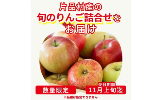 ☆数量限定☆尾瀬の郷 片品村産旬のりんご
（＊11月上旬受付終了予定）