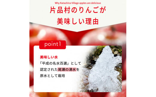 ☆数量限定☆尾瀬の郷 片品村産旬のりんご
（＊11月上旬受付終了予定）