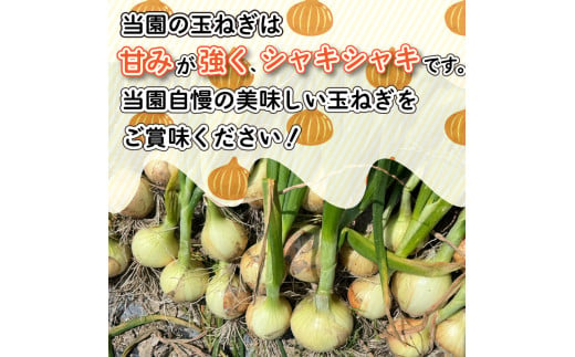 【 玉ねぎ 約10kg 】 訳あり 玉ねぎ 約 10kg 不揃い サイズ ミックス たまねぎ 玉葱 野菜 ハンバーグ 肉じゃが オニオン  サラダ スープ 焼肉 BBQ バーベキュー 健康 味噌汁 数量限定 新鮮 季節 産地直送 徳島県 阿波市