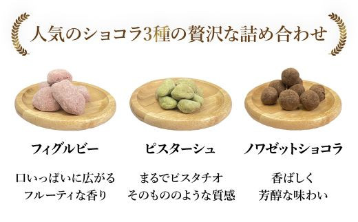 洋菓子マウンテン　ショコラアソート（3種類/フィグルビー・ピスターシュ・ノワゼットショコラ） / スイーツ 洋菓子 チョコレート ショコラ ショコラティエ 人気のショコラ 贅沢 3種 セット 詰合せ ギフト プレゼント 福知山市 京都府 FCEA003